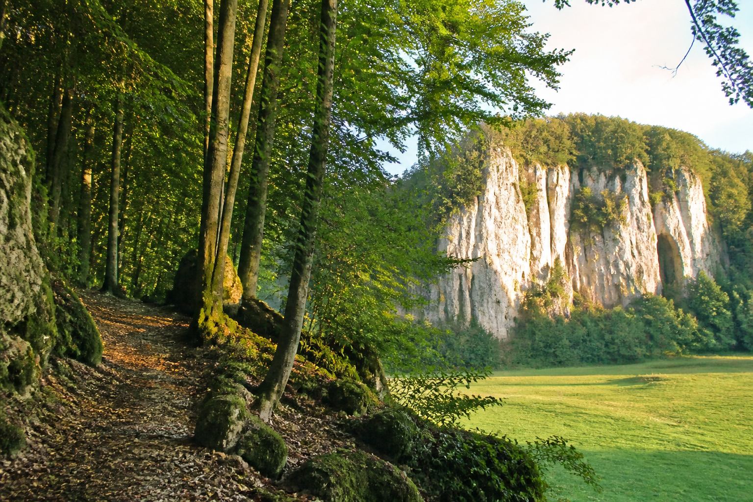 Buchenwald und Kalkfelsen in der Fränkischen Schweiz
